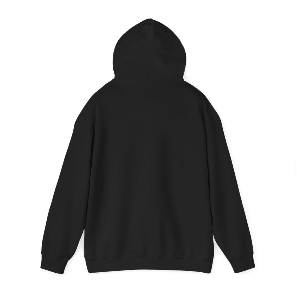 Holiday 'Toys, Not Cash' Graphic Hoodie — Funny Christmas Gift Sweatshirt