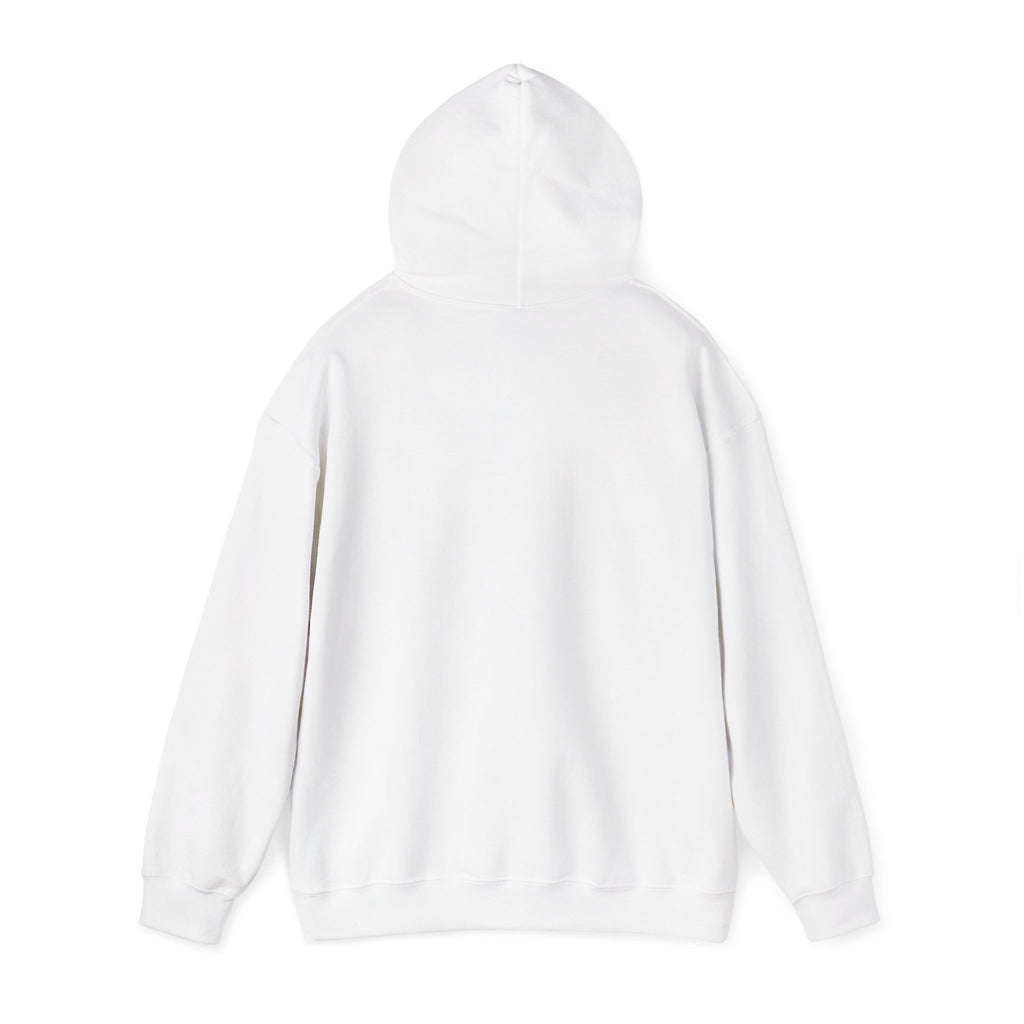 Holiday 'Toys, Not Cash' Graphic Hoodie — Funny Christmas Gift Sweatshirt