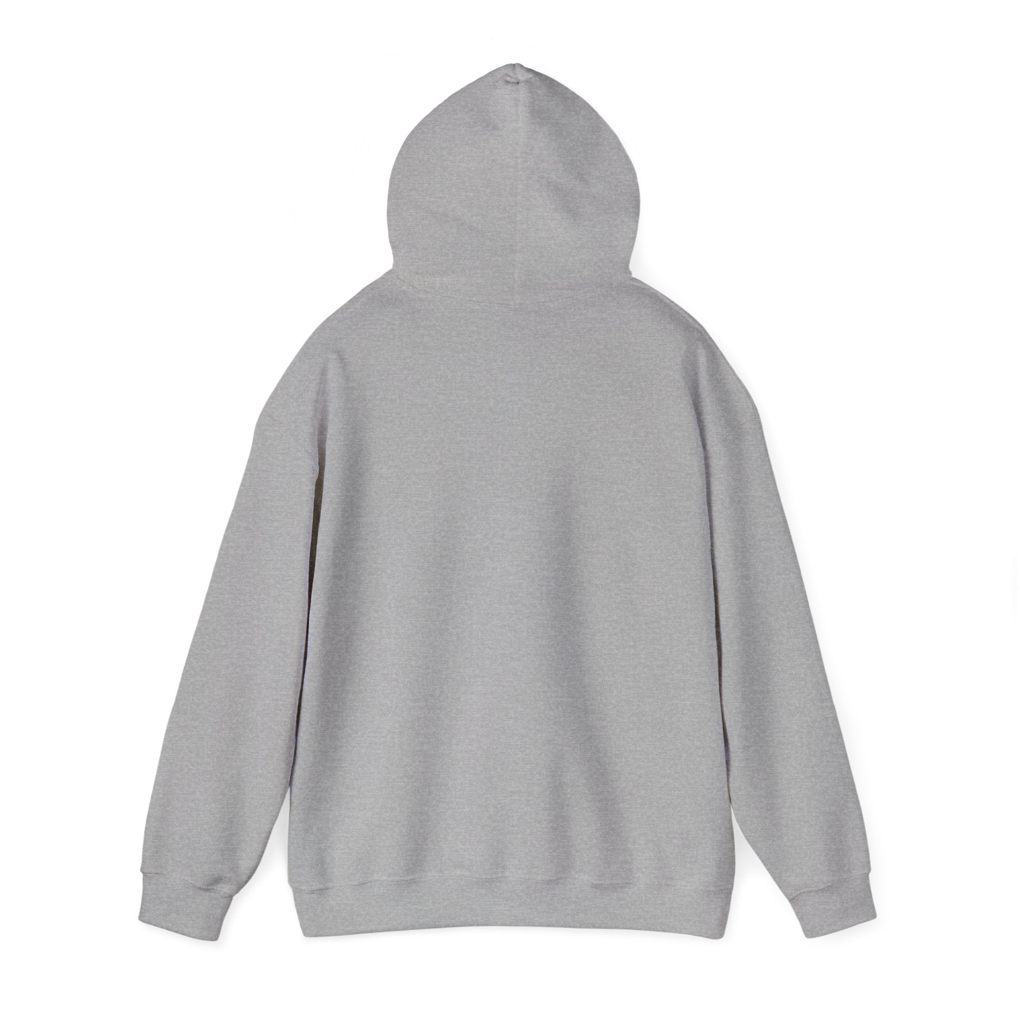 Holiday 'Toys, Not Cash' Graphic Hoodie — Funny Christmas Gift Sweatshirt
