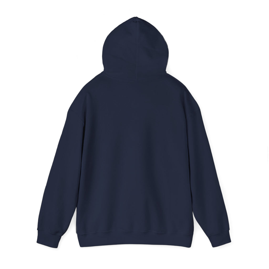 Holiday 'Toys, Not Cash' Graphic Hoodie — Funny Christmas Gift Sweatshirt