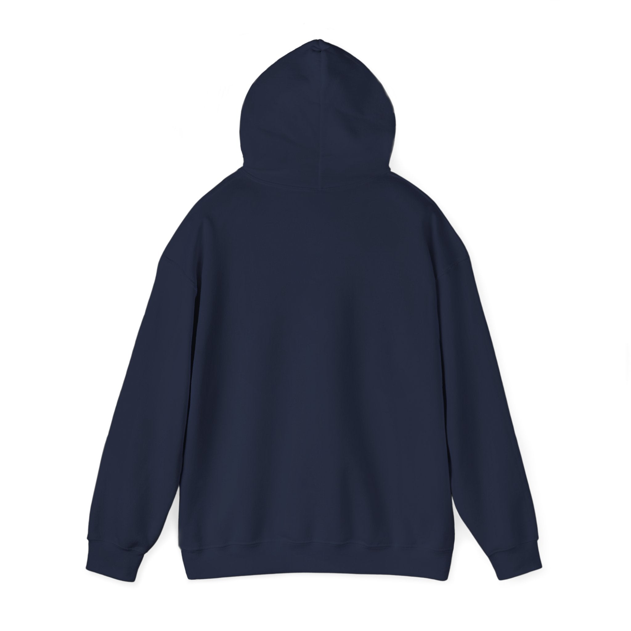 Holiday 'Toys, Not Cash' Graphic Hoodie — Funny Christmas Gift Sweatshirt