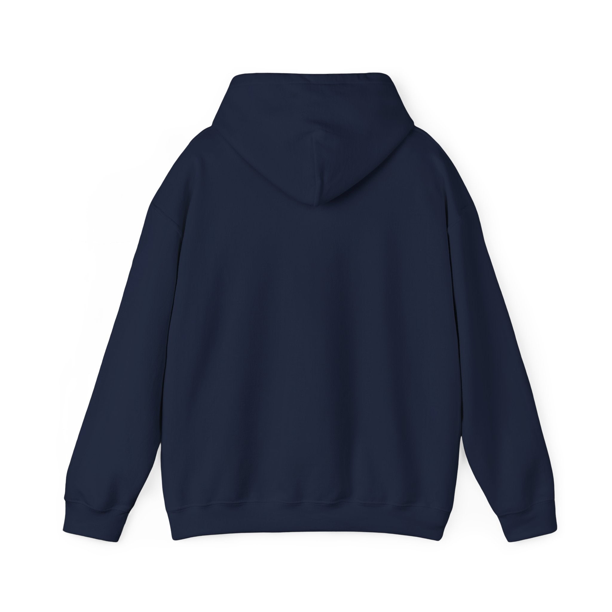 Holiday 'Toys, Not Cash' Graphic Hoodie — Funny Christmas Gift Sweatshirt