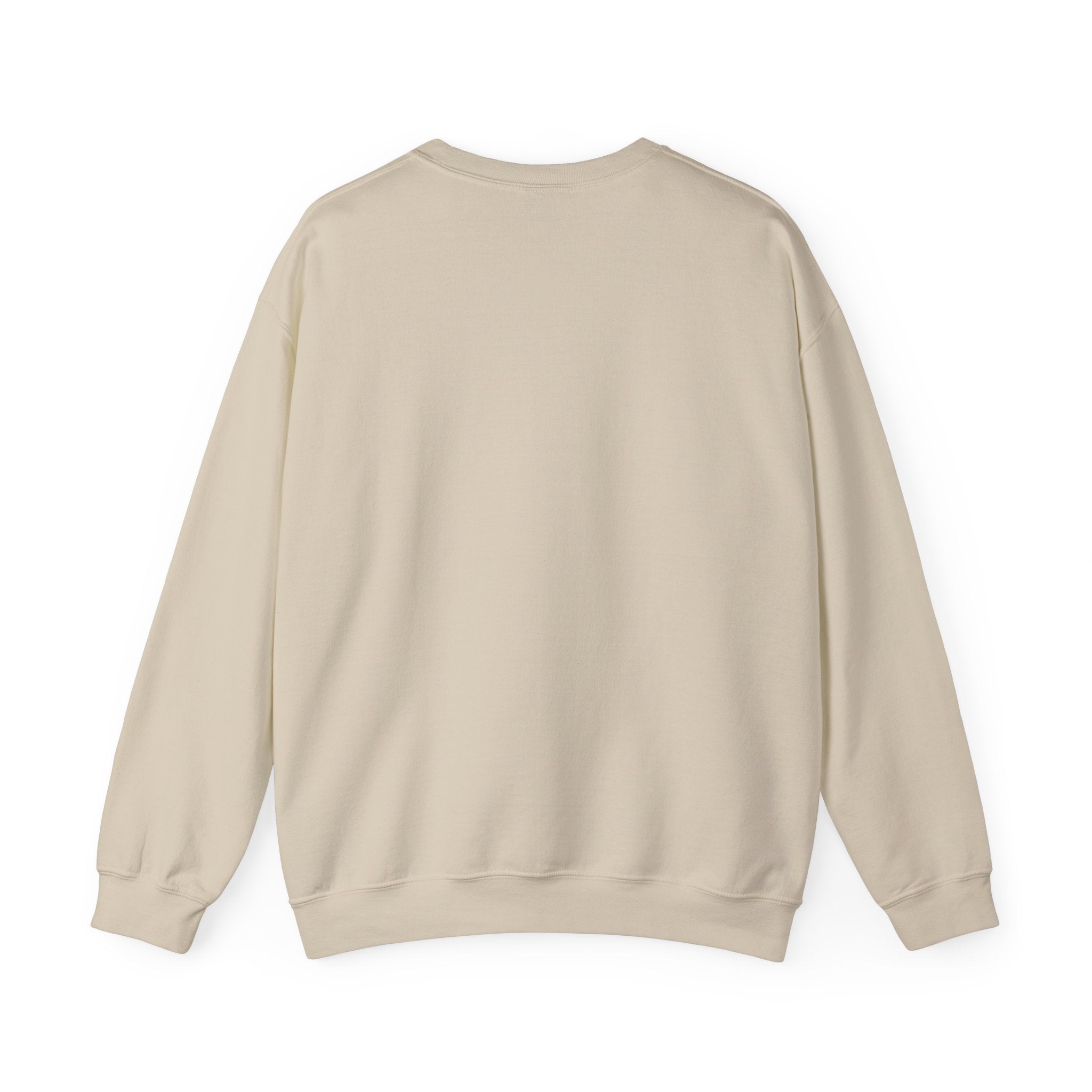 Christmas Sweatshirt — "Too Old for Toys, Just Send Cash" Holiday Crewneck