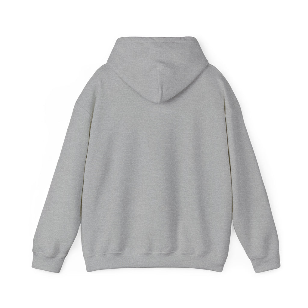 Holiday 'Toys, Not Cash' Graphic Hoodie — Funny Christmas Gift Sweatshirt